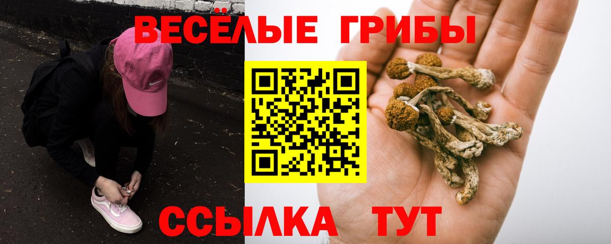 Первоуральск  Галлюциногенные грибы ЛСД  купить наркоту  Вход с VPN 